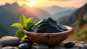 découvrez le shilajit, un véritable trésor de la nature, reconnu pour ses propriétés bénéfiques sur l'énergie et la vitalité. explorez comment ce complément naturel peut renforcer votre force physique et soutenir vos performances au quotidien.
